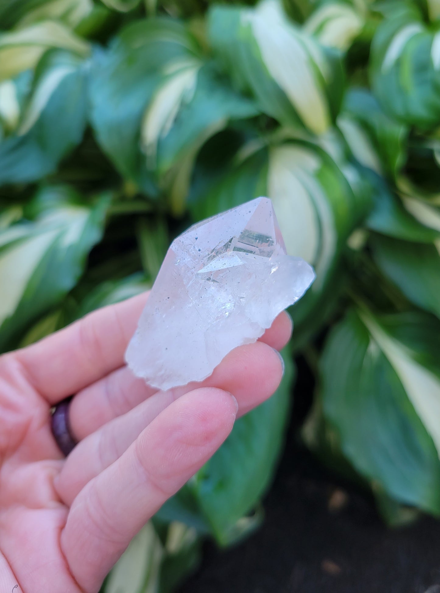 Himalayan Quartz with Anatase from Himachal Pradesh, India