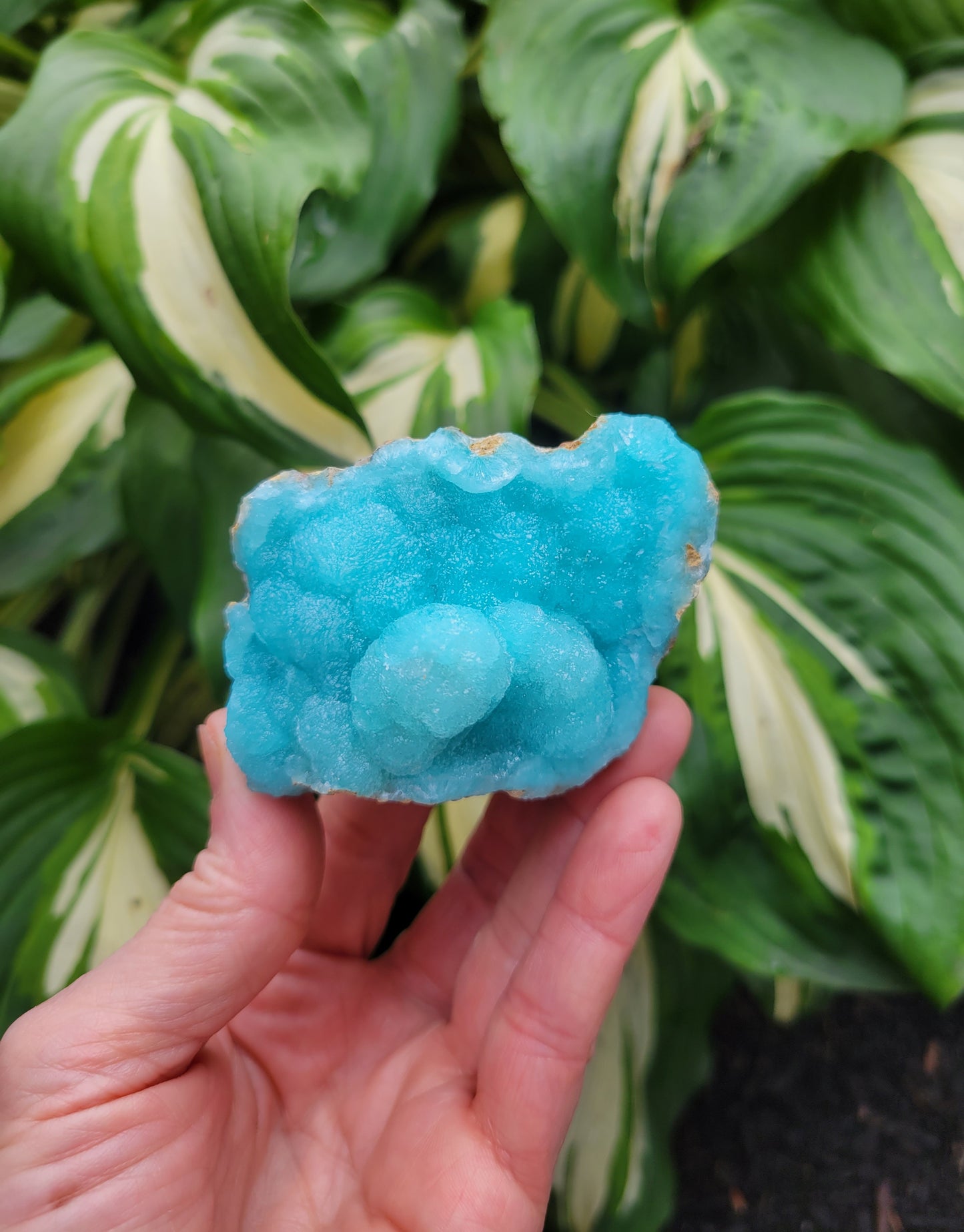 Hemimorphite from Palabanda, M'fouati, Congo