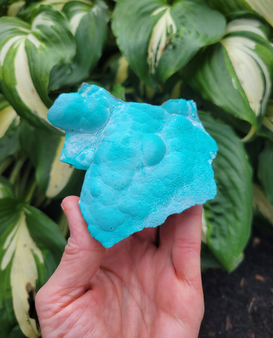 Hemimorphite and Aurachalite from Palabanda, M'fouati, Congo