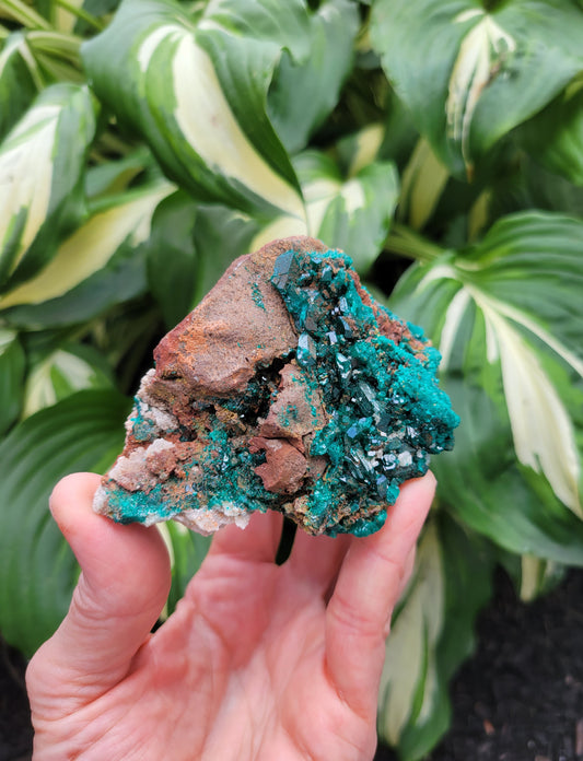 Dioptase from Congo