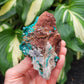 Dioptase Specimen from Congo (W 3 3/4 X D 2 1/4 X H 1 3/4 inches)