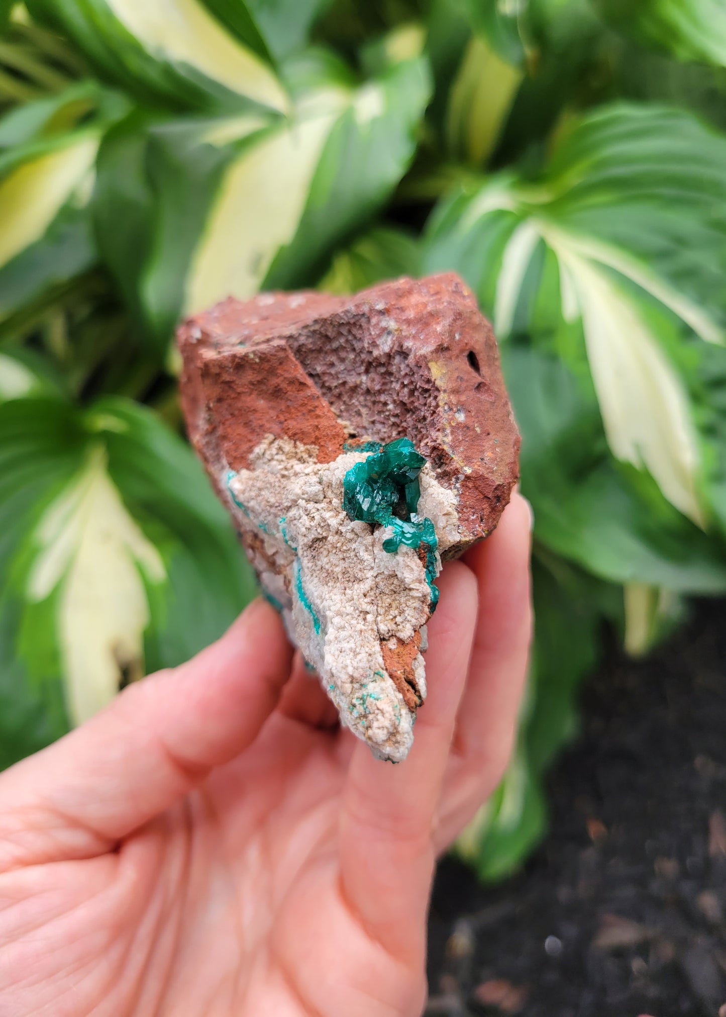Dioptase Specimen from Congo (W 3 3/4 X D 2 1/4 X H 1 3/4 inches)