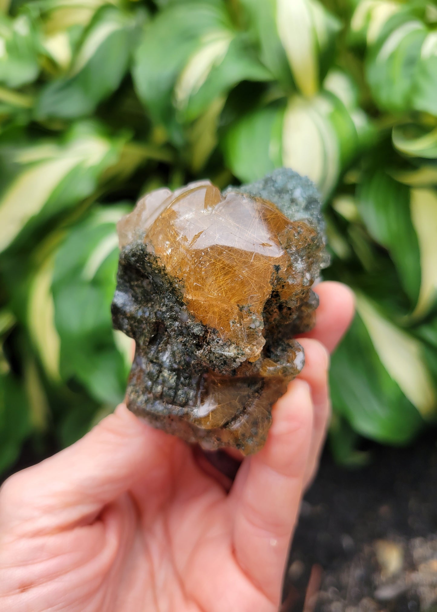 Himalayan Rutilated Quartz Skull from India