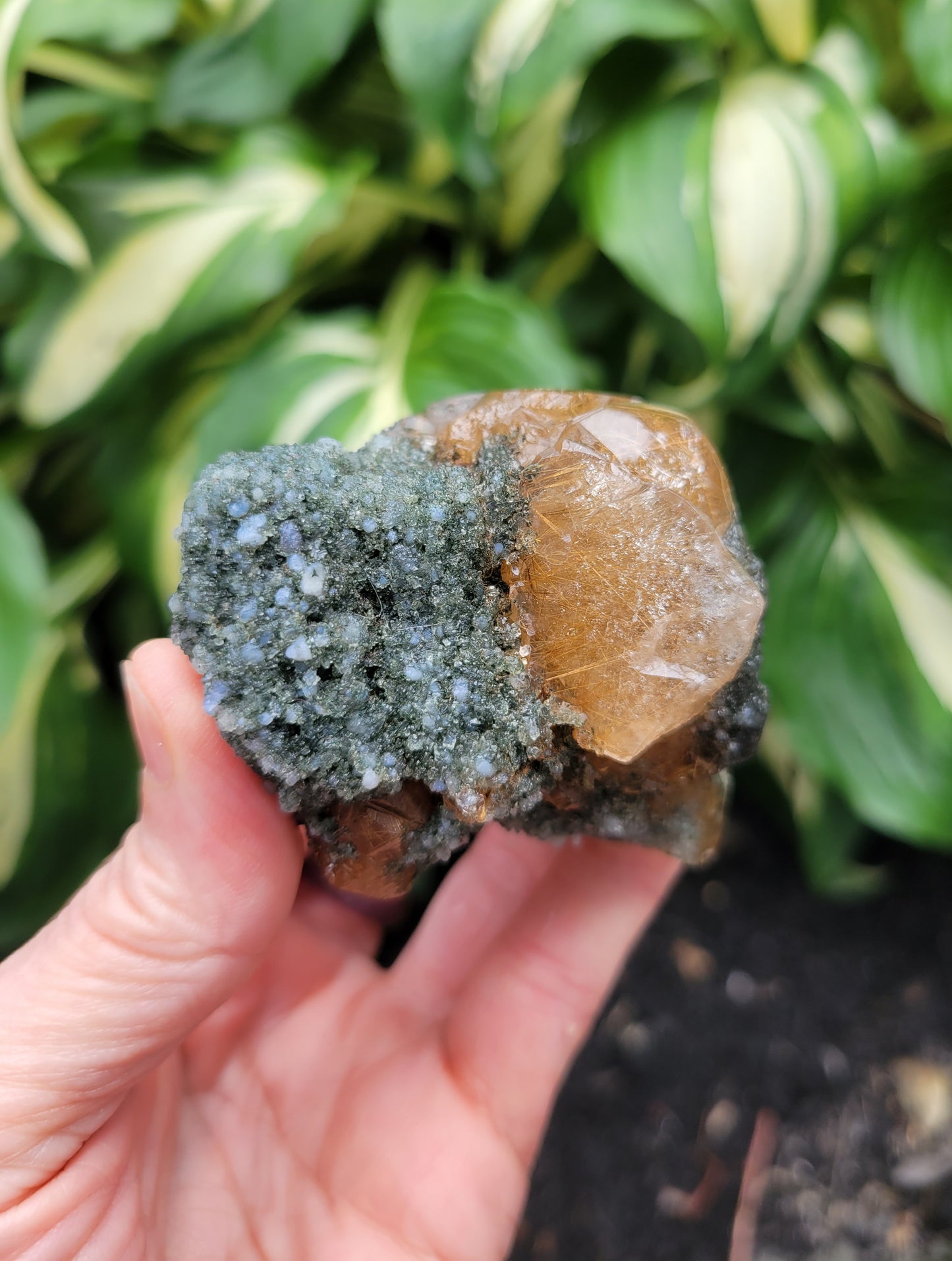 Himalayan Rutilated Quartz Skull from India