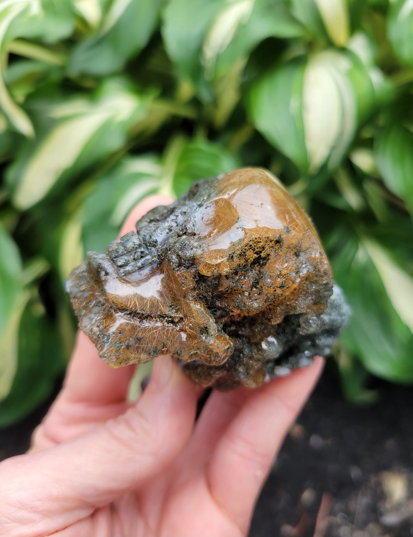 Himalayan Rutilated Quartz Skull from India