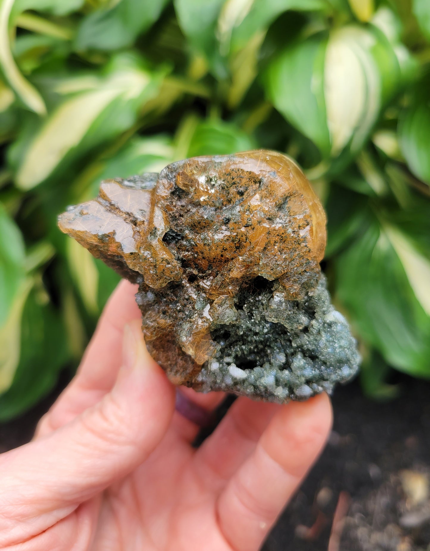 Himalayan Rutilated Quartz Skull from India