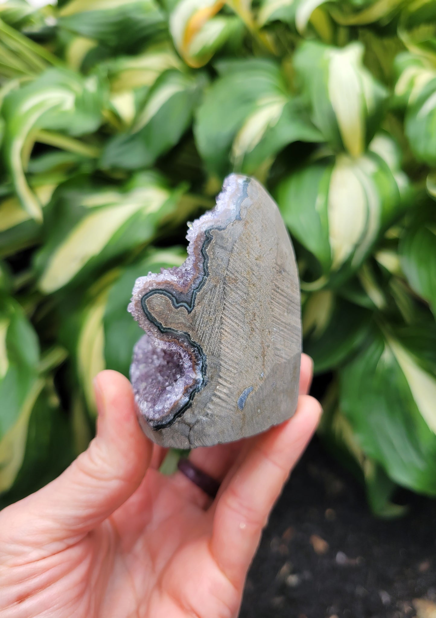 Amethyst Cut Base from Uruguay, Partially Polished (W 2 5/8 X D 1 3/4 X H 2 5/8 inches)