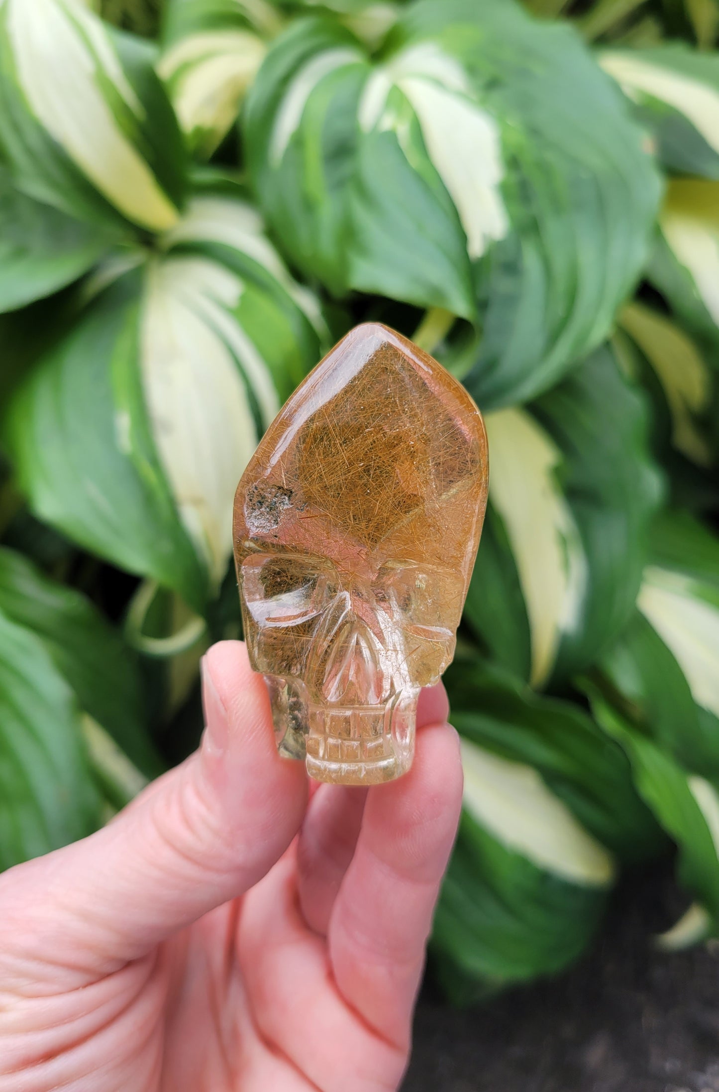 Quartz Skull Carving (Rutilated & Himalayan from India, Carved by Subhash Meena