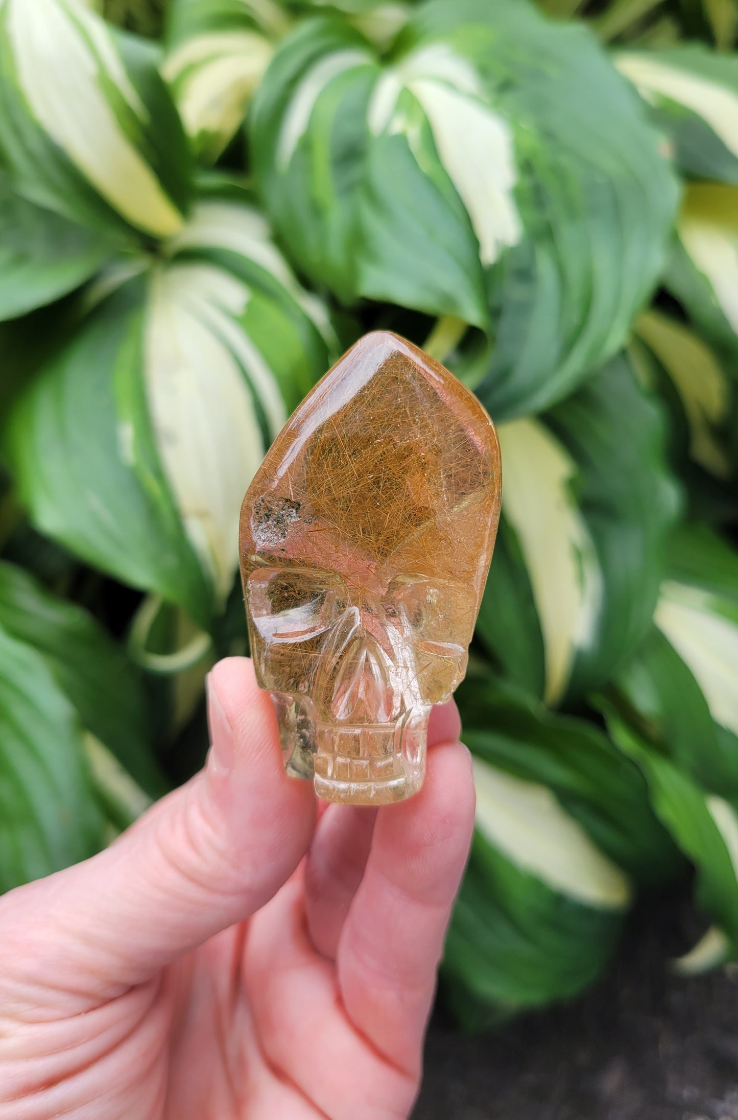 Himalayan Rutilated Quartz Skull from India