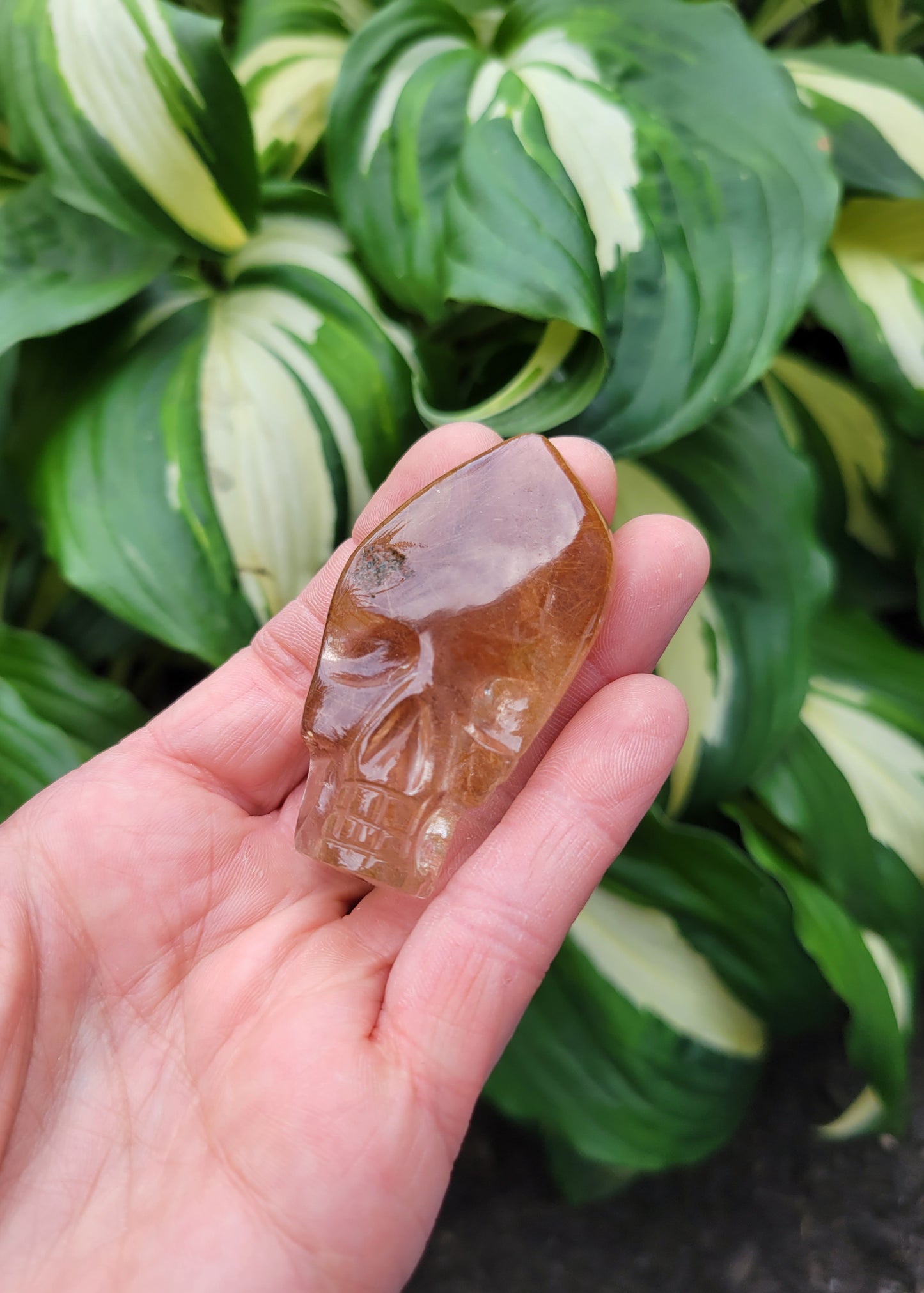 Himalayan Rutilated Quartz Skull Carved and Polished by Subhash Meena (W 1 1/4 X D 1 1/8 X H 2 1/4 inches, 52.3 grams)