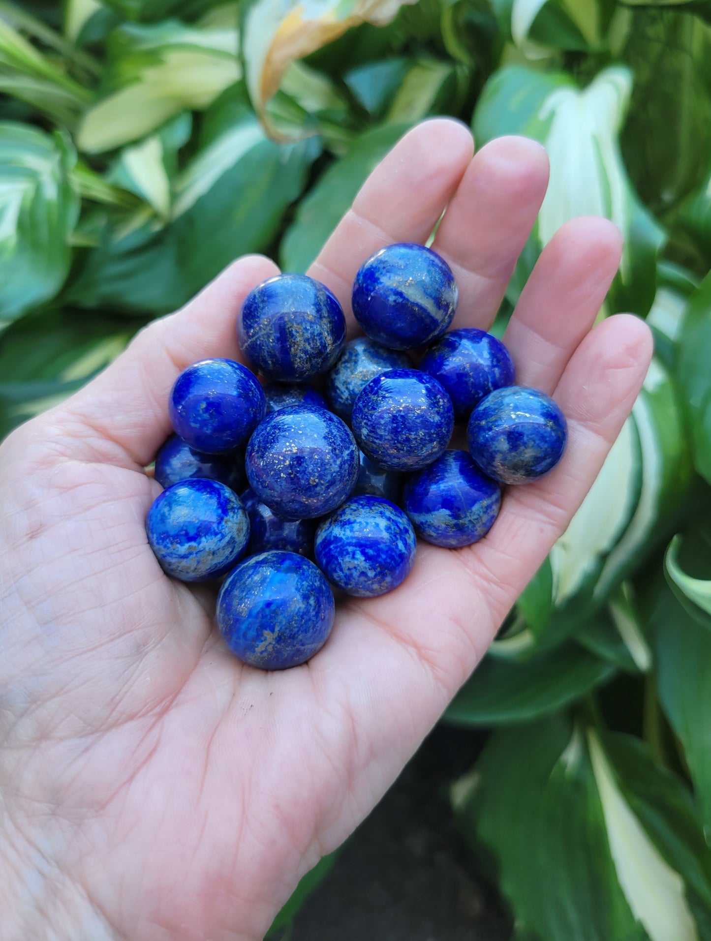 Lapis Lazuli Marble from Pakistan