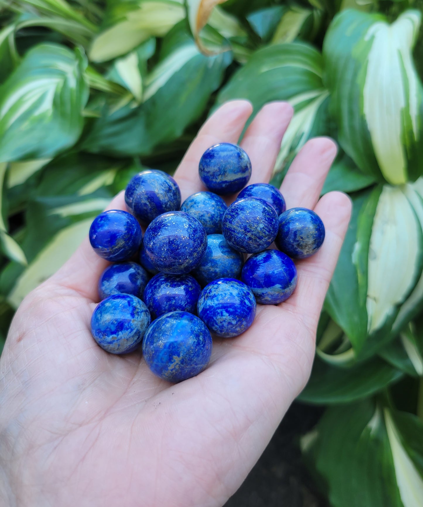 Lapis Lazuli Polished Marble from Pakistan (5/8 to 3/4-inch diameter)