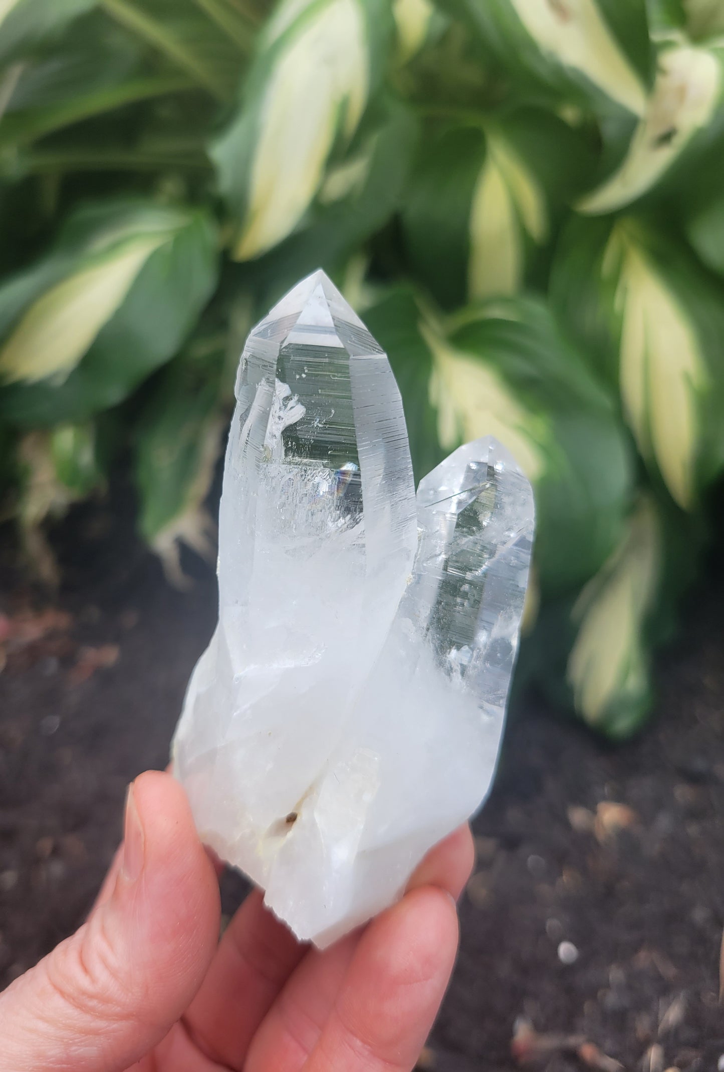 Lemurian Quartz, Curved from Colombia