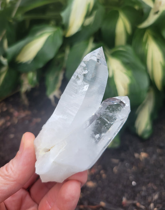 Lemurian Quartz, Curved from Colombia