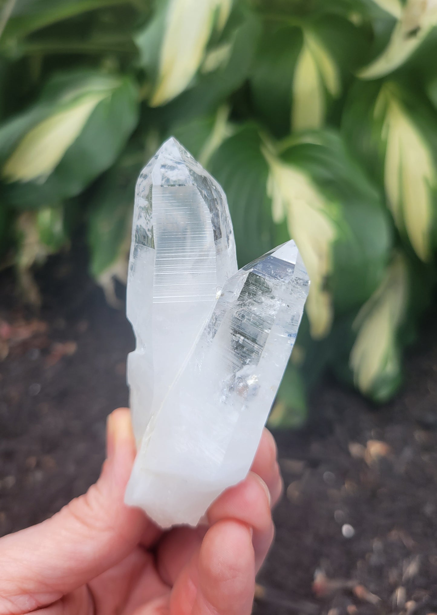 Quartz (Lemurian X 2 and Curved) from Colombia