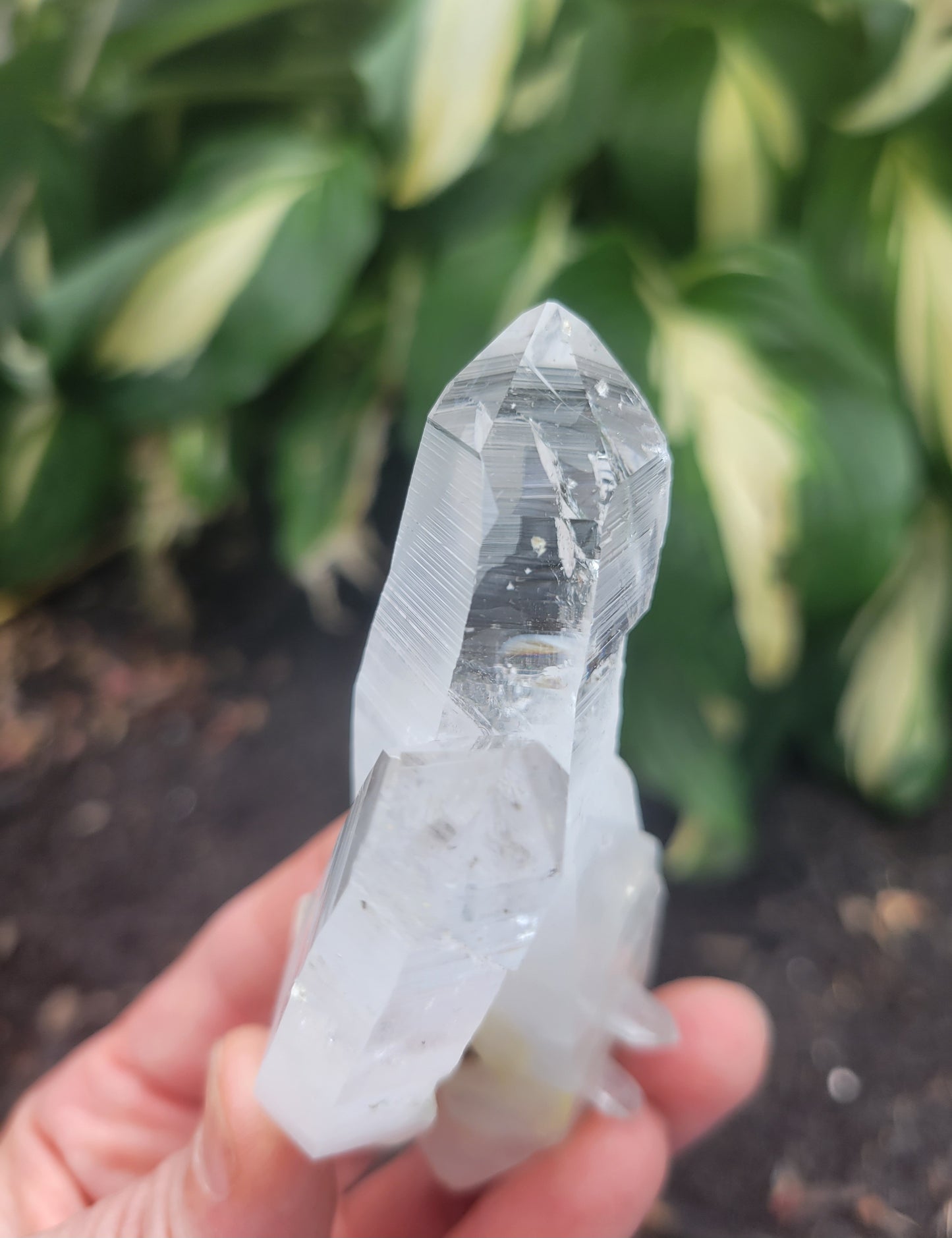 Lemurian Quartz, Curved from Colombia