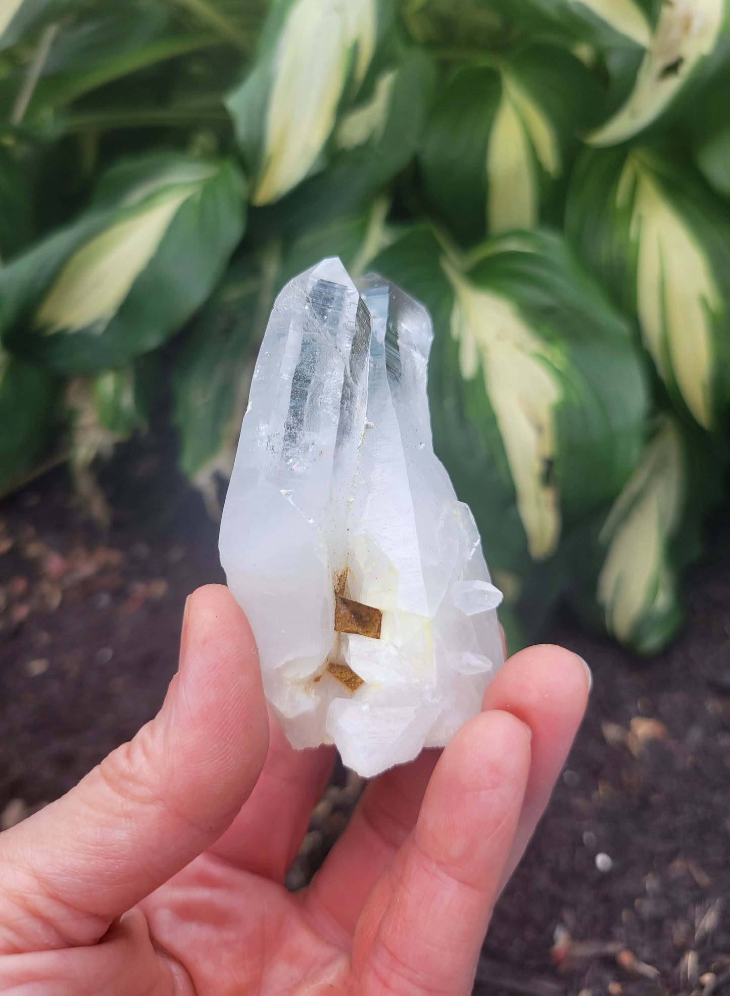 Lemurian Quartz, Curved from Colombia