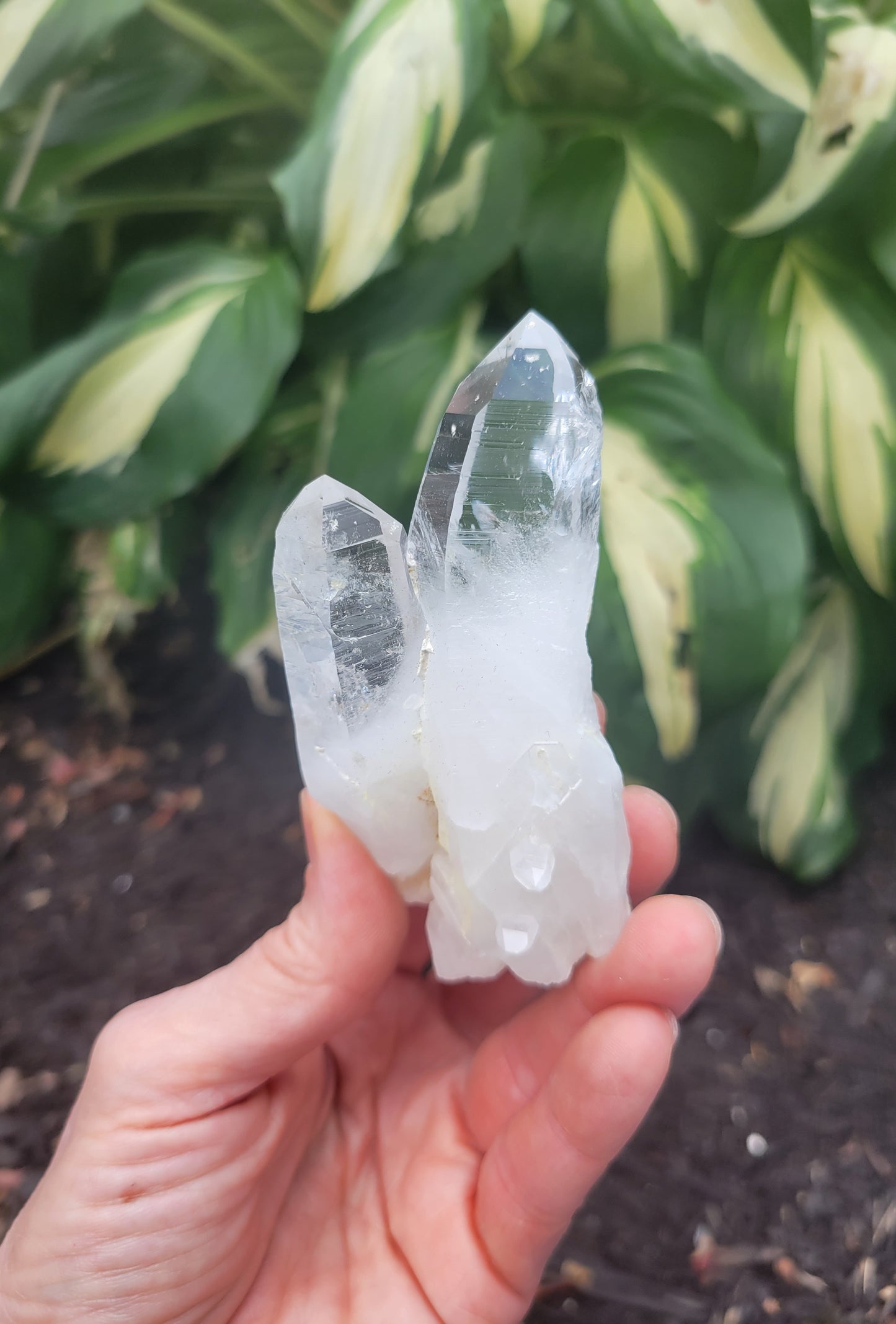 Lemurian Quartz, Curved from Colombia