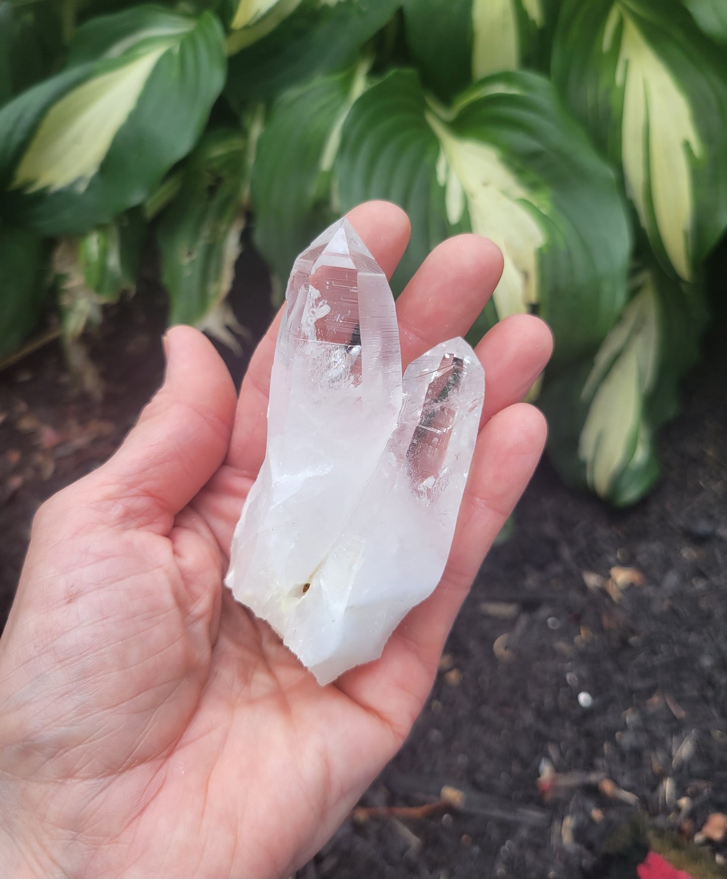 Lemurian Quartz, Curved from Colombia