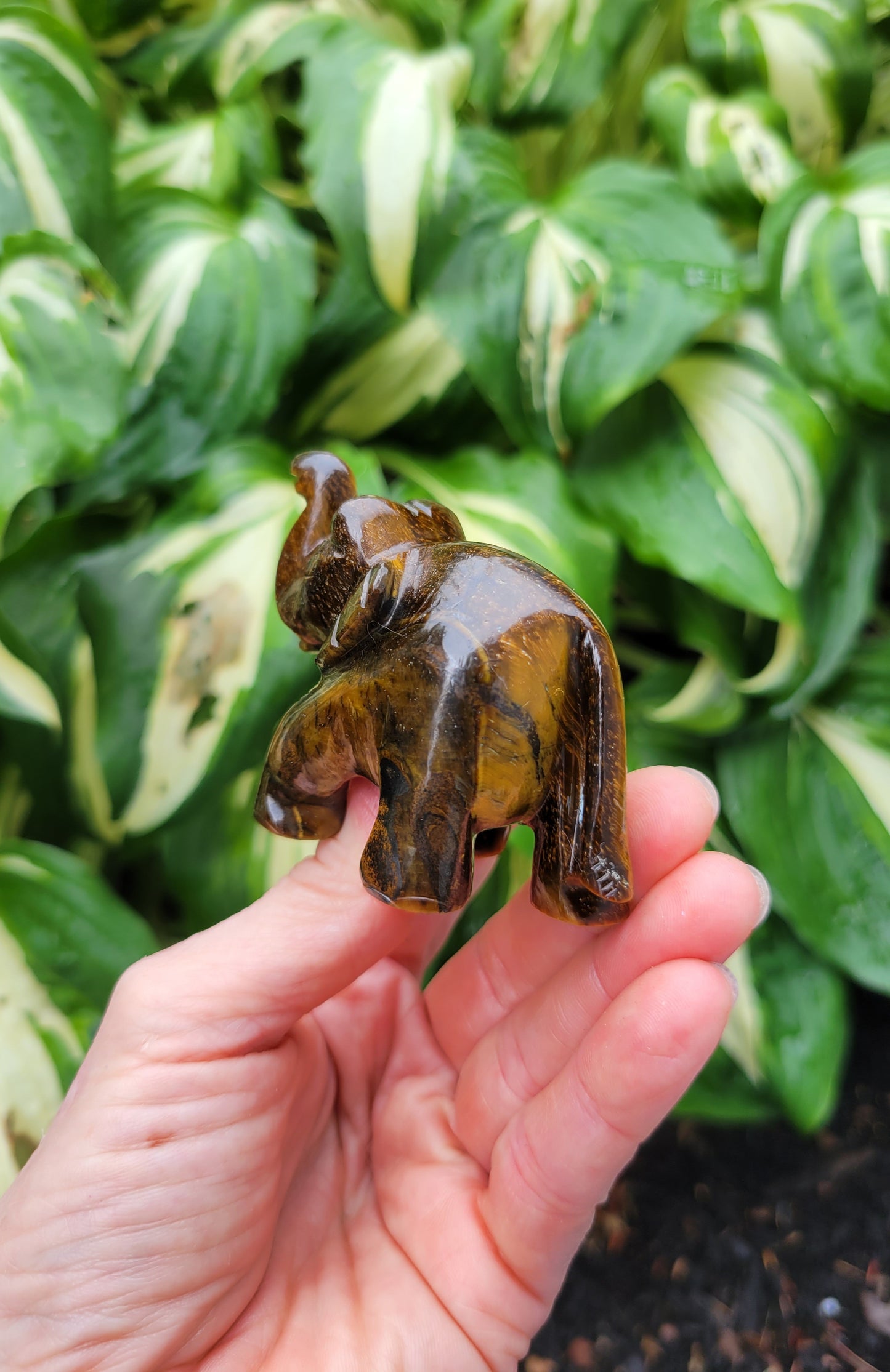Tiger's Eye Elephant, Carved in India