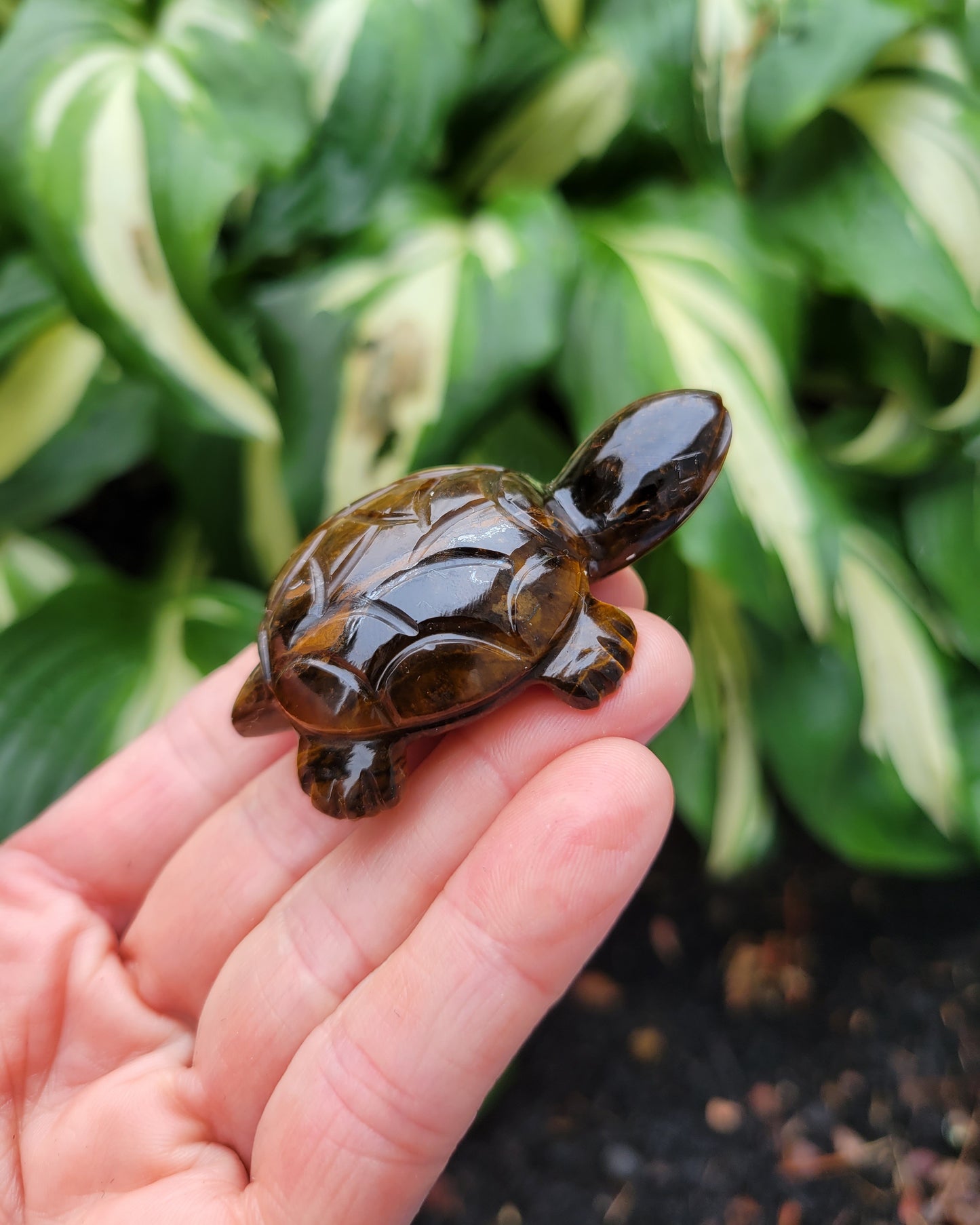 Tiger's Eye Turtle, Carved and Polished in India (W 1 1/2 X L 2 1/4 X H 1/2 inches, 45 grams)
