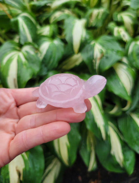 Rose Quartz Turtle, Carved and Polished in India (W 1 5/8 X L 2 1/2 X H 3/4 inches, 65 grams)