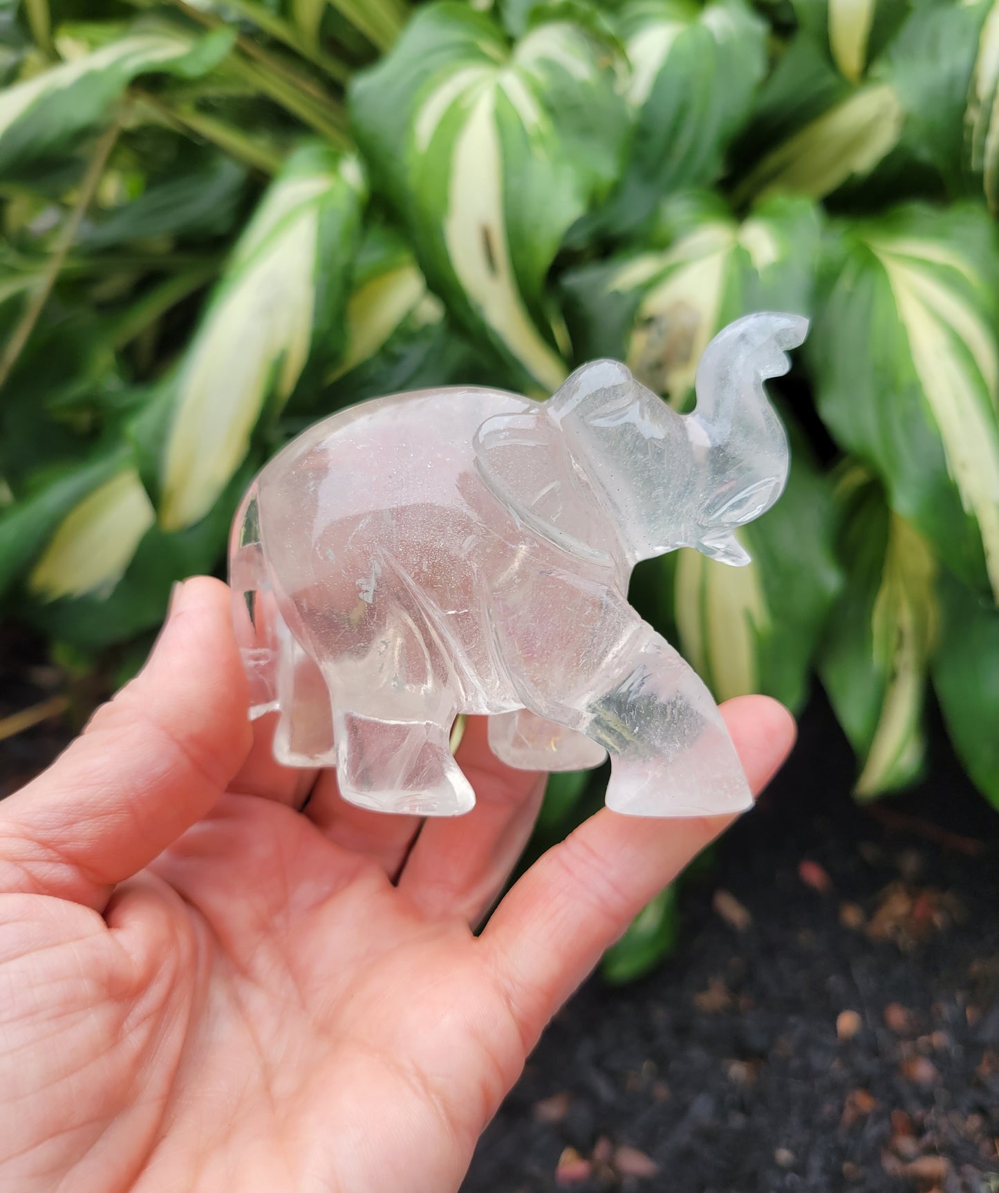 Himalayan Quartz Elephant from India