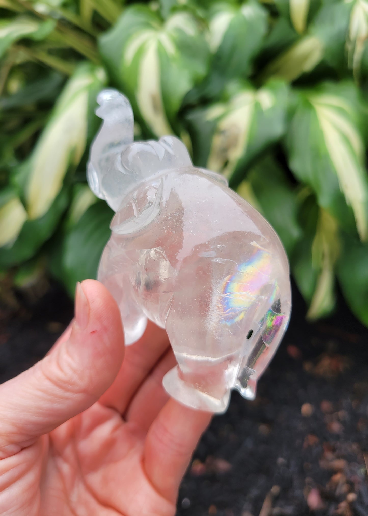 Himalayan Quartz Elephant from India