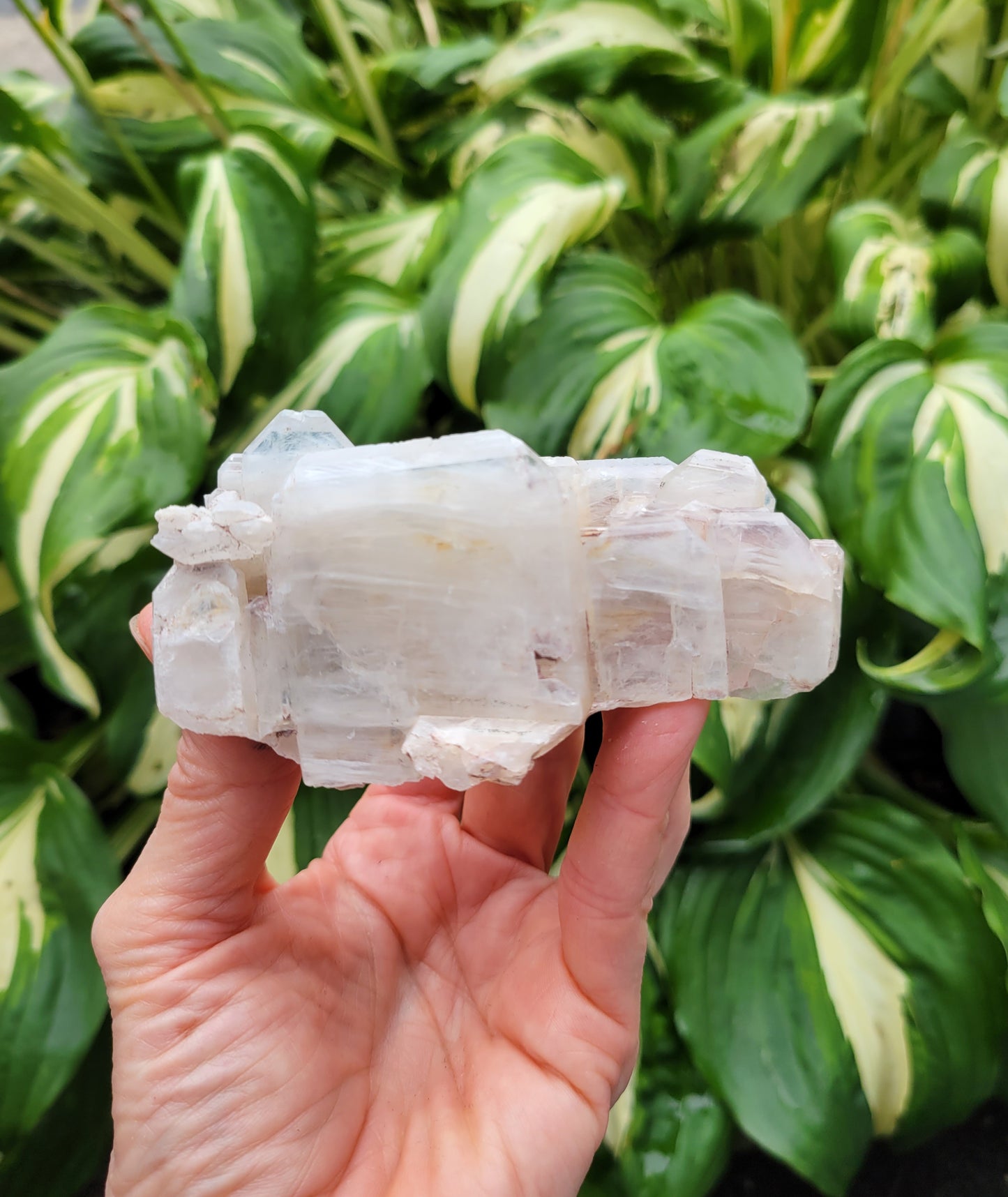 Quartz with Lithium, Faden Growth Habit from Colombia