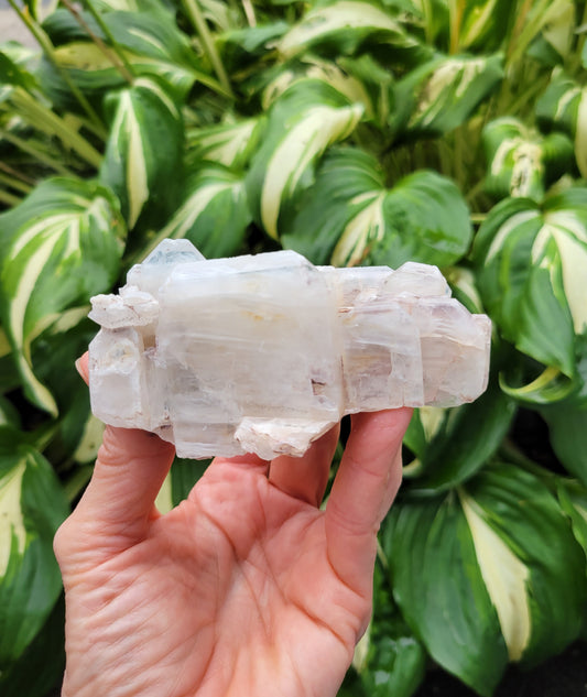 Quartz with Lithium, Faden Growth Habit from Colombia