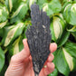 Black Kyanite from Brazil