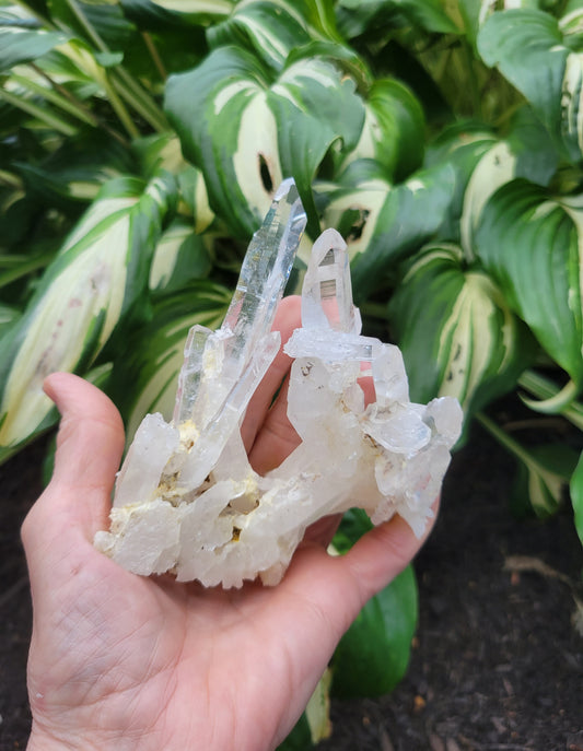 Quartz (Lemurian Cluster) from Colombia