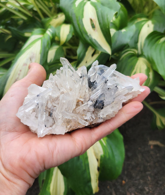 Quartz Cluster with Hematite Roses from China