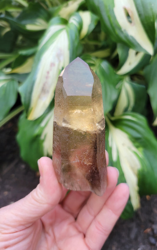 Citrine from Diamantina Brazil, Partially Polished (W 1 1/2 X D 1 1/8 X L 3 1/2 inches, 125 grams)