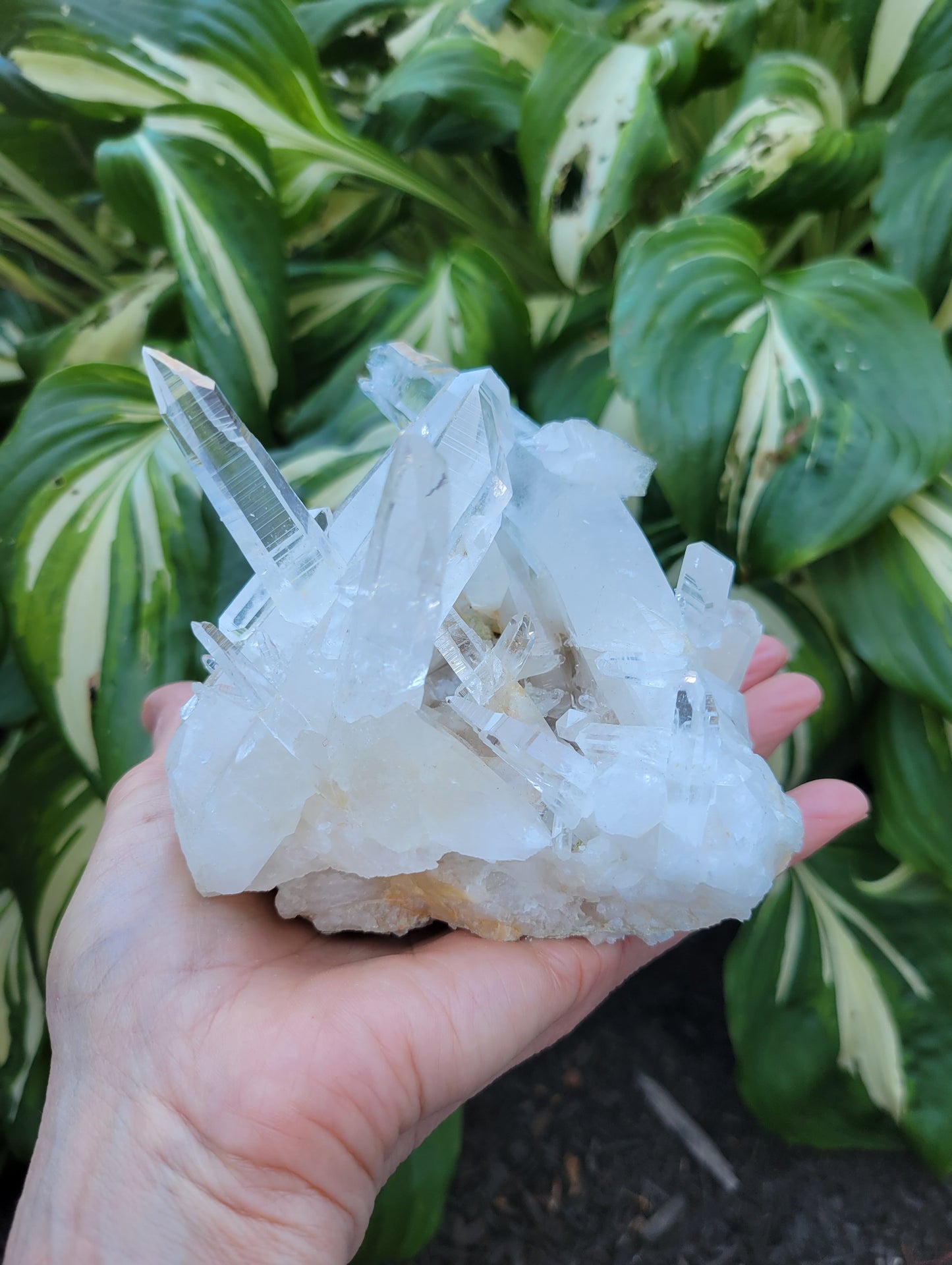 Lemurian Quartz from Colombia