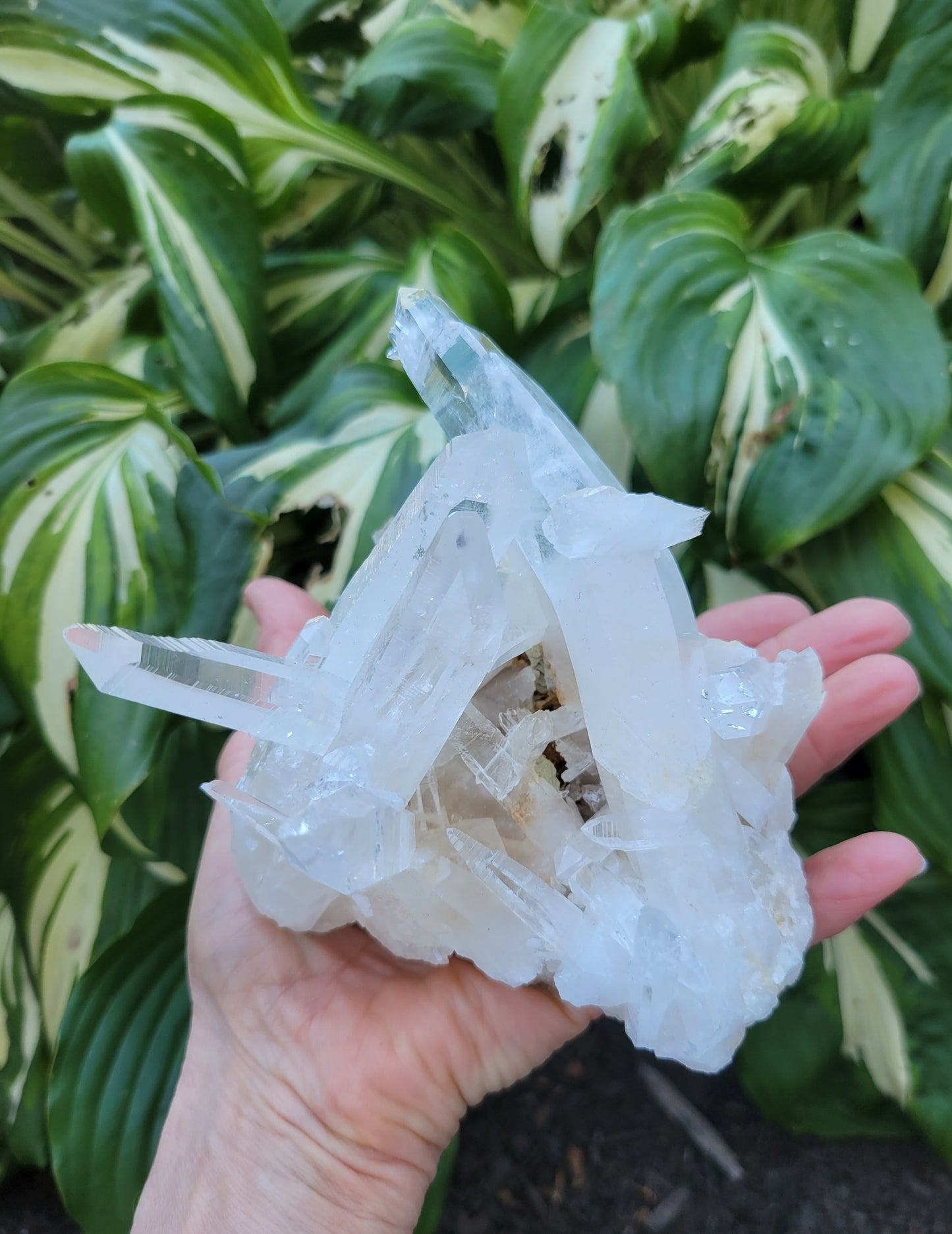 Lemurian Quartz from Colombia