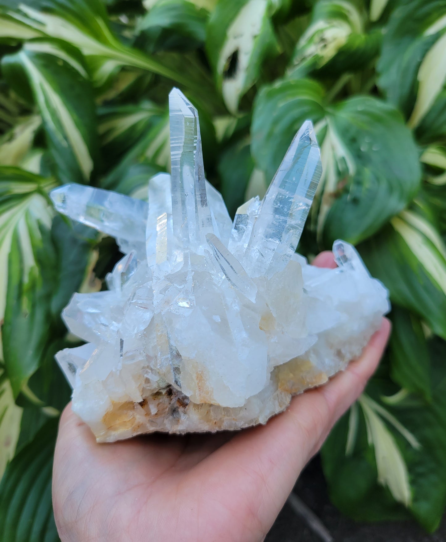 Lemurian Quartz from Colombia