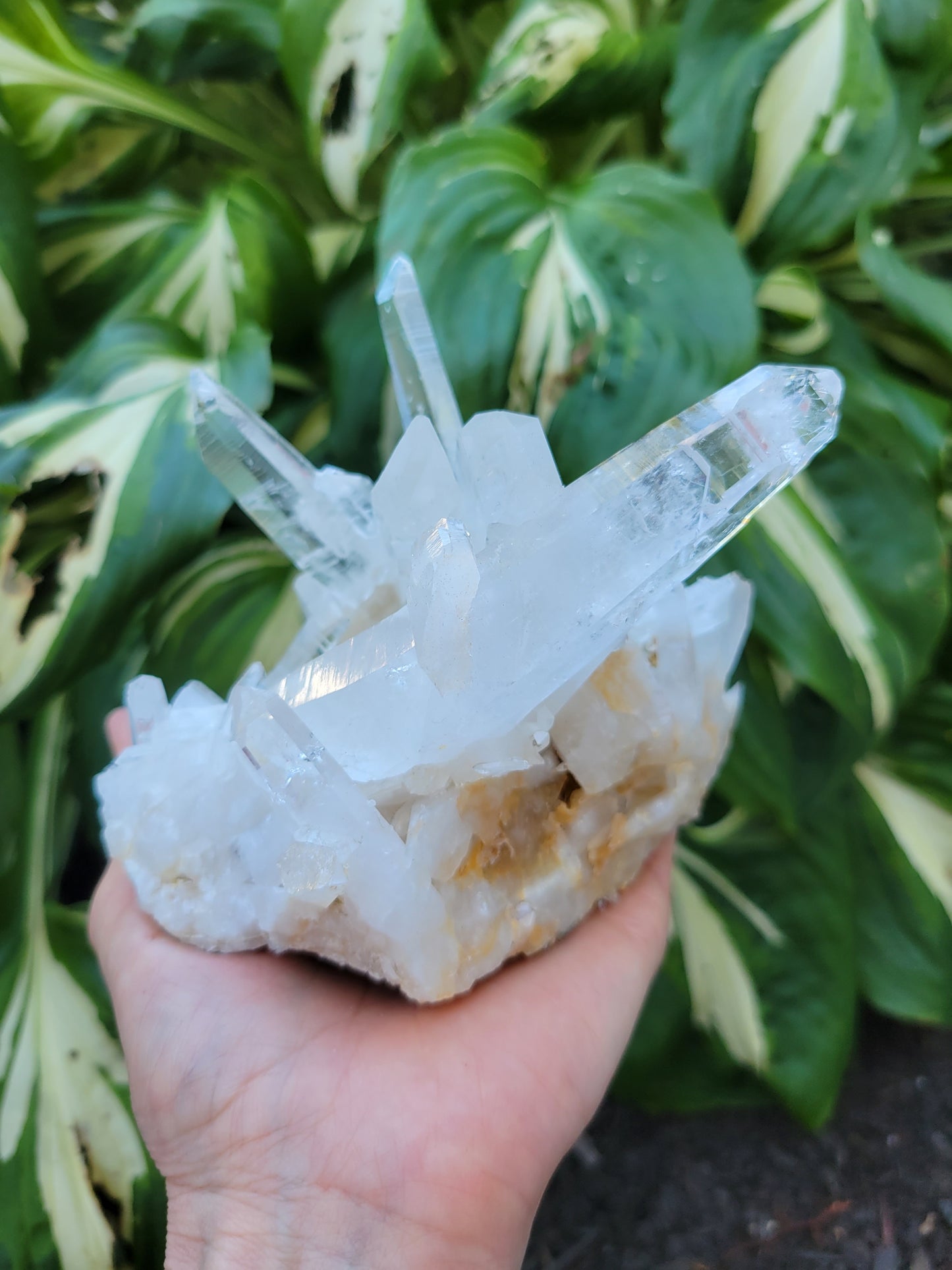 Lemurian Quartz from Colombia