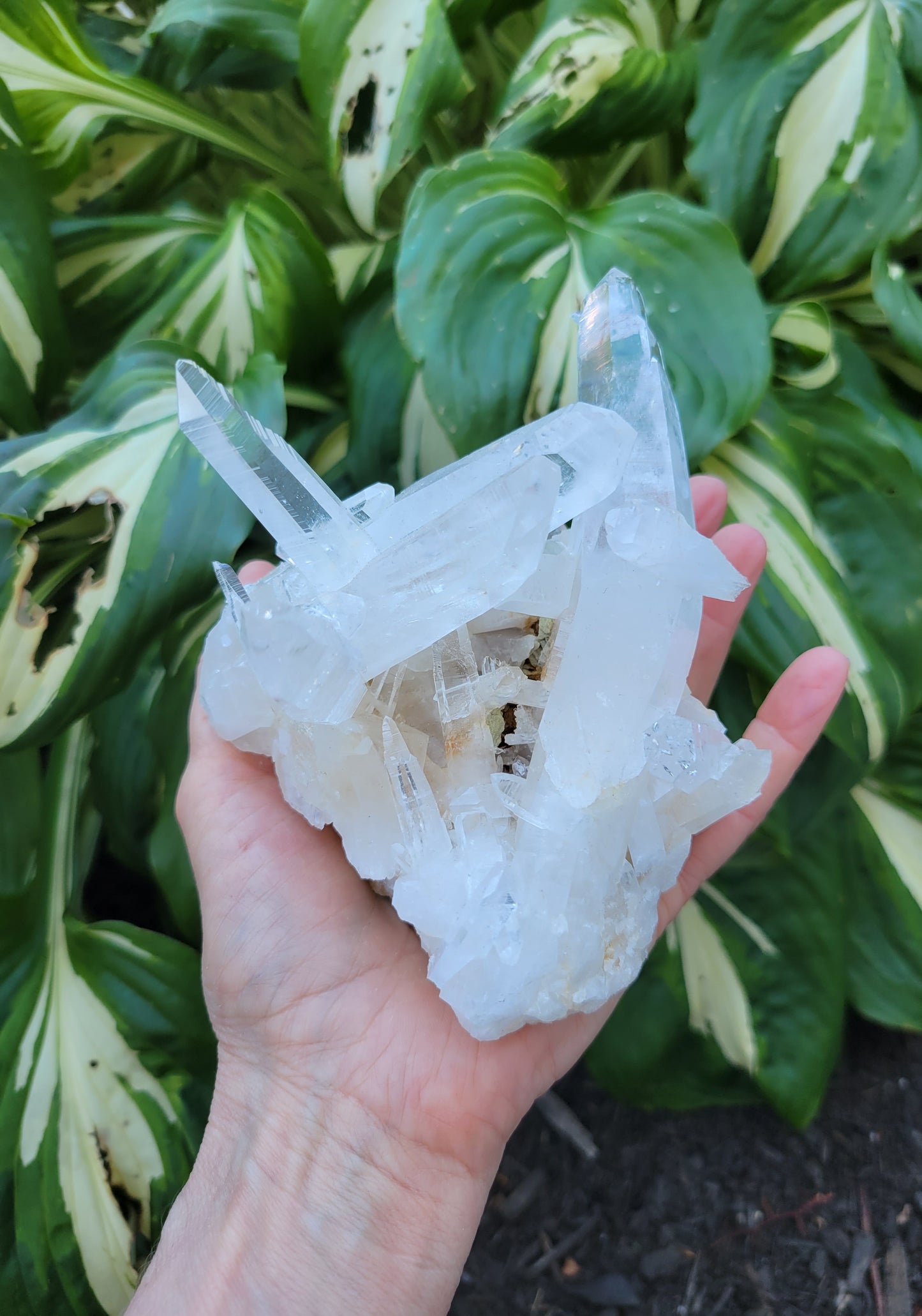 Lemurian Quartz from Colombia