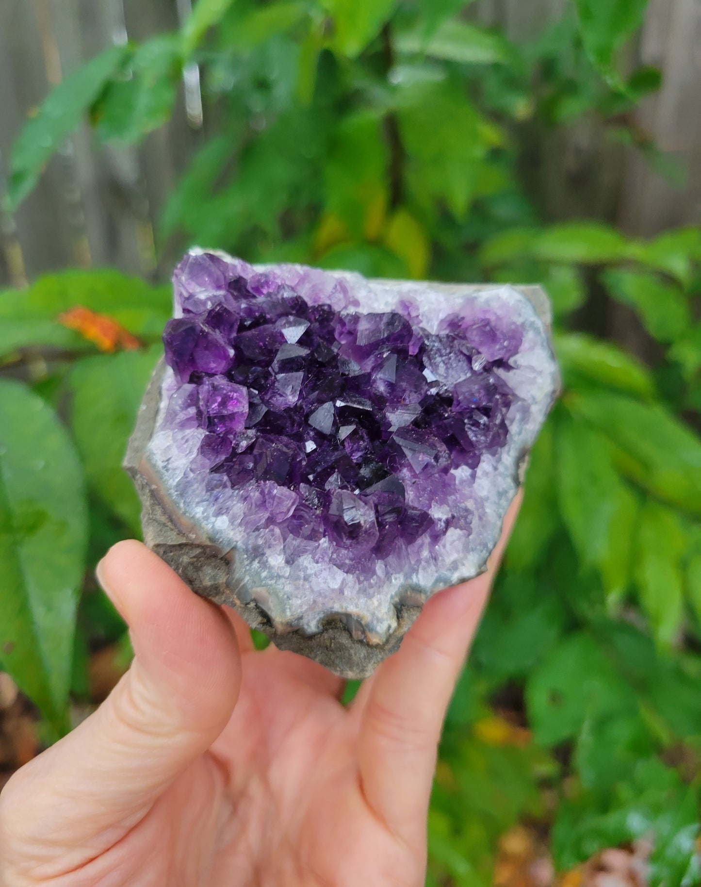 Grape Amethyst from Uruguay