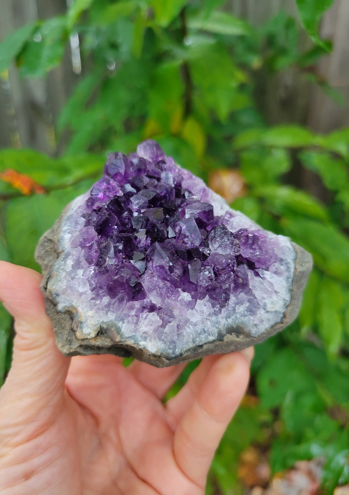 Grape Amethyst from Uruguay