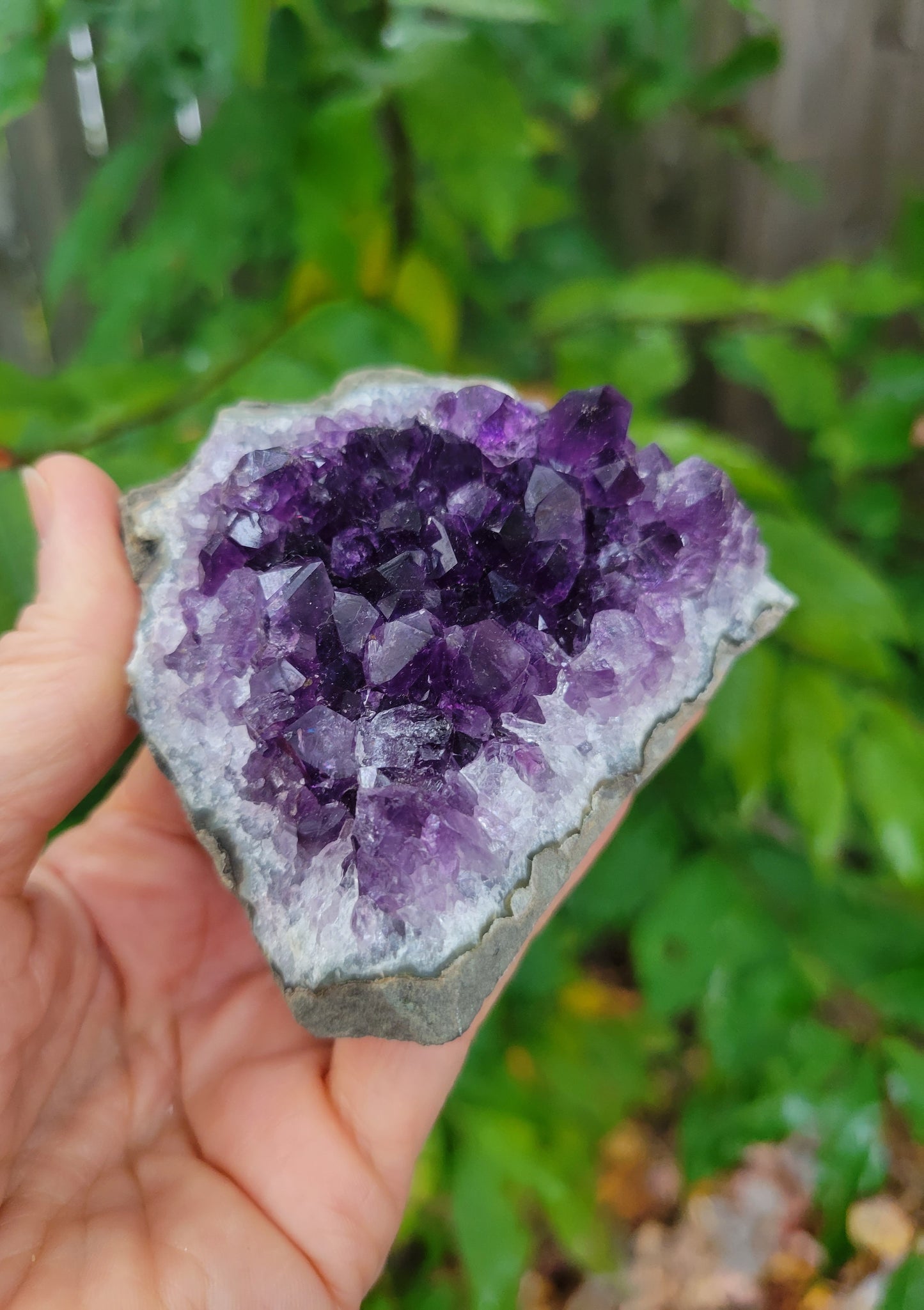 Grape Amethyst from Uruguay