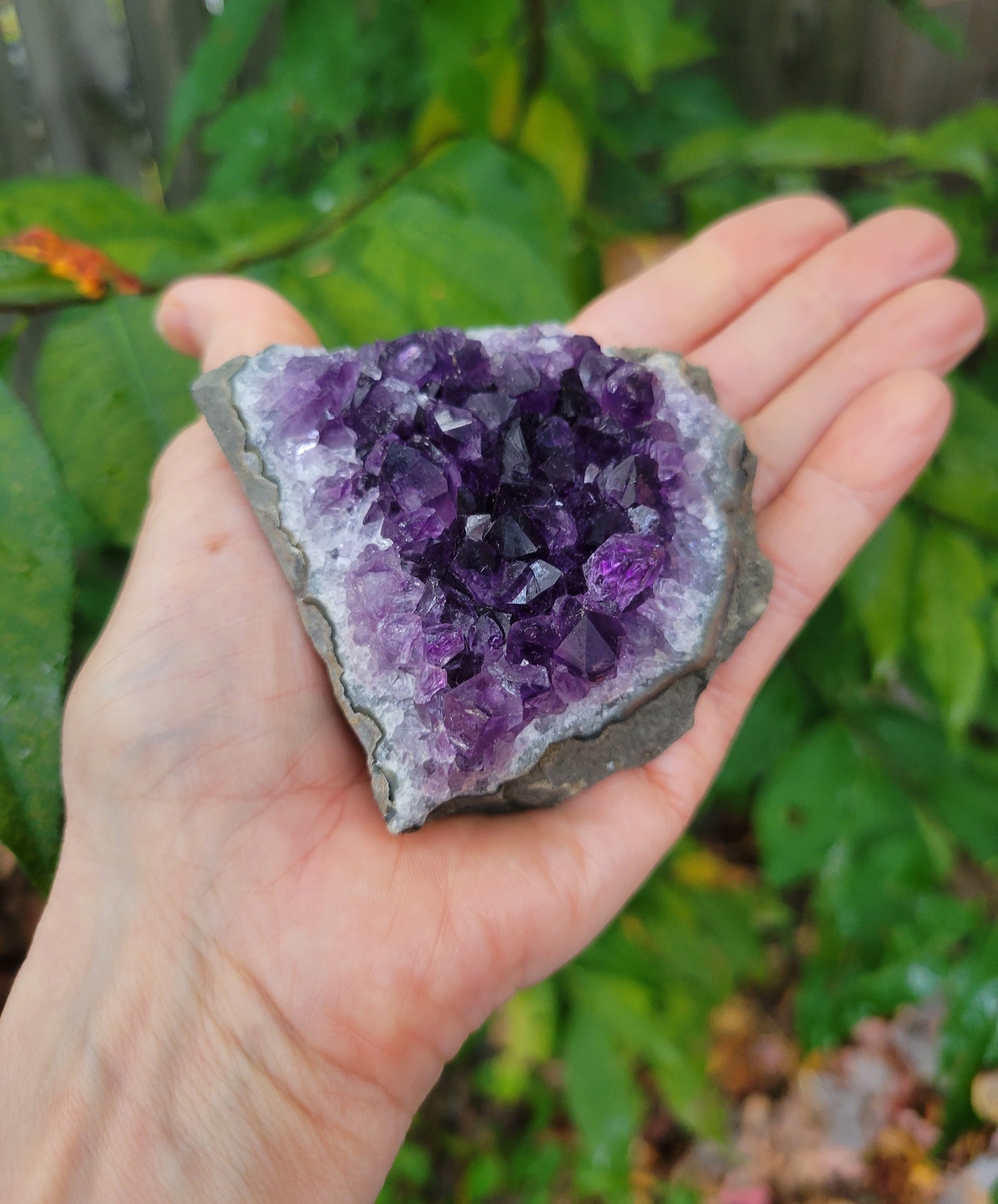 Grape Amethyst from Uruguay