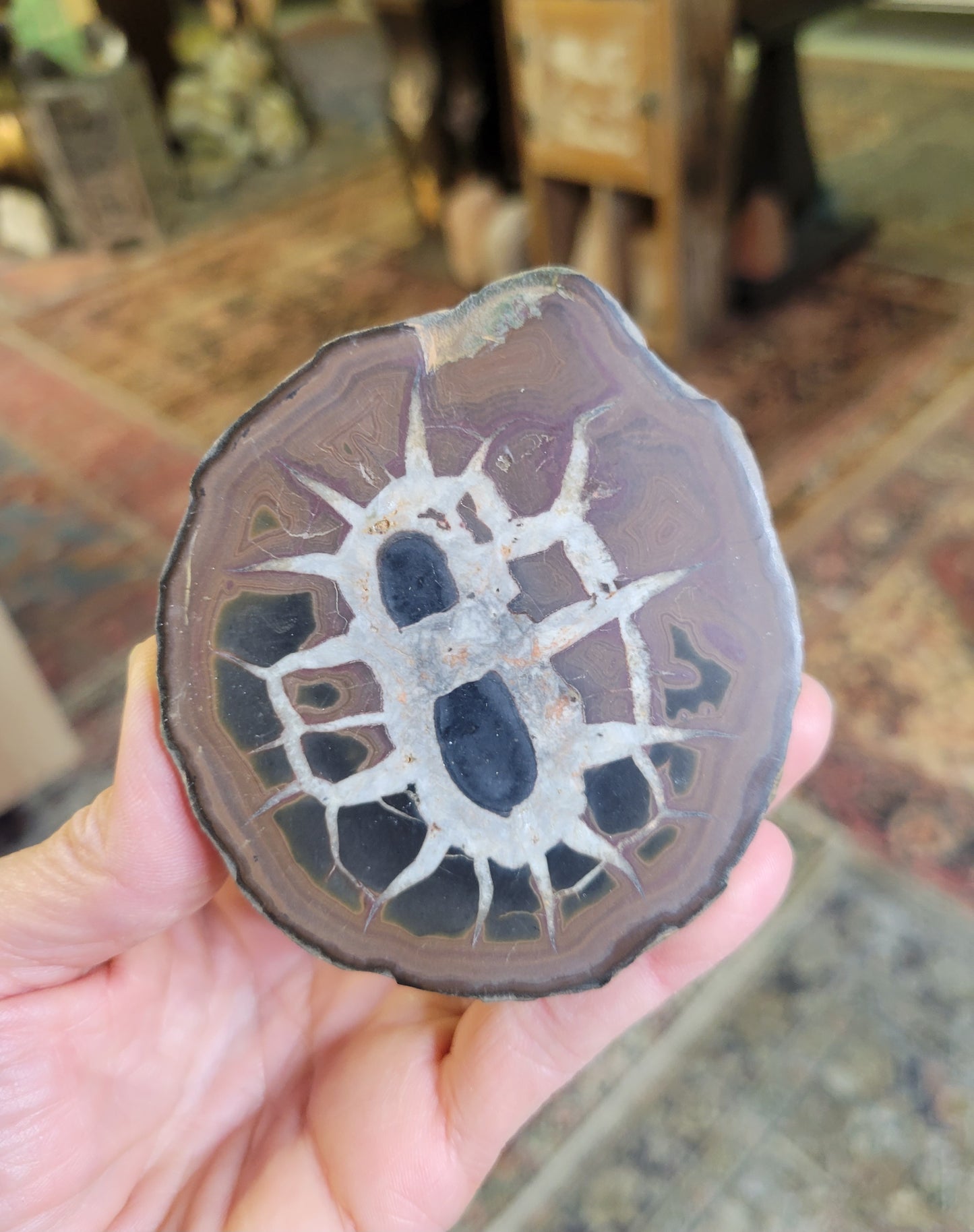 Septarian Polished Nodule from Morocco (2 3/4 X 3 1/4 X 3/4 inches)