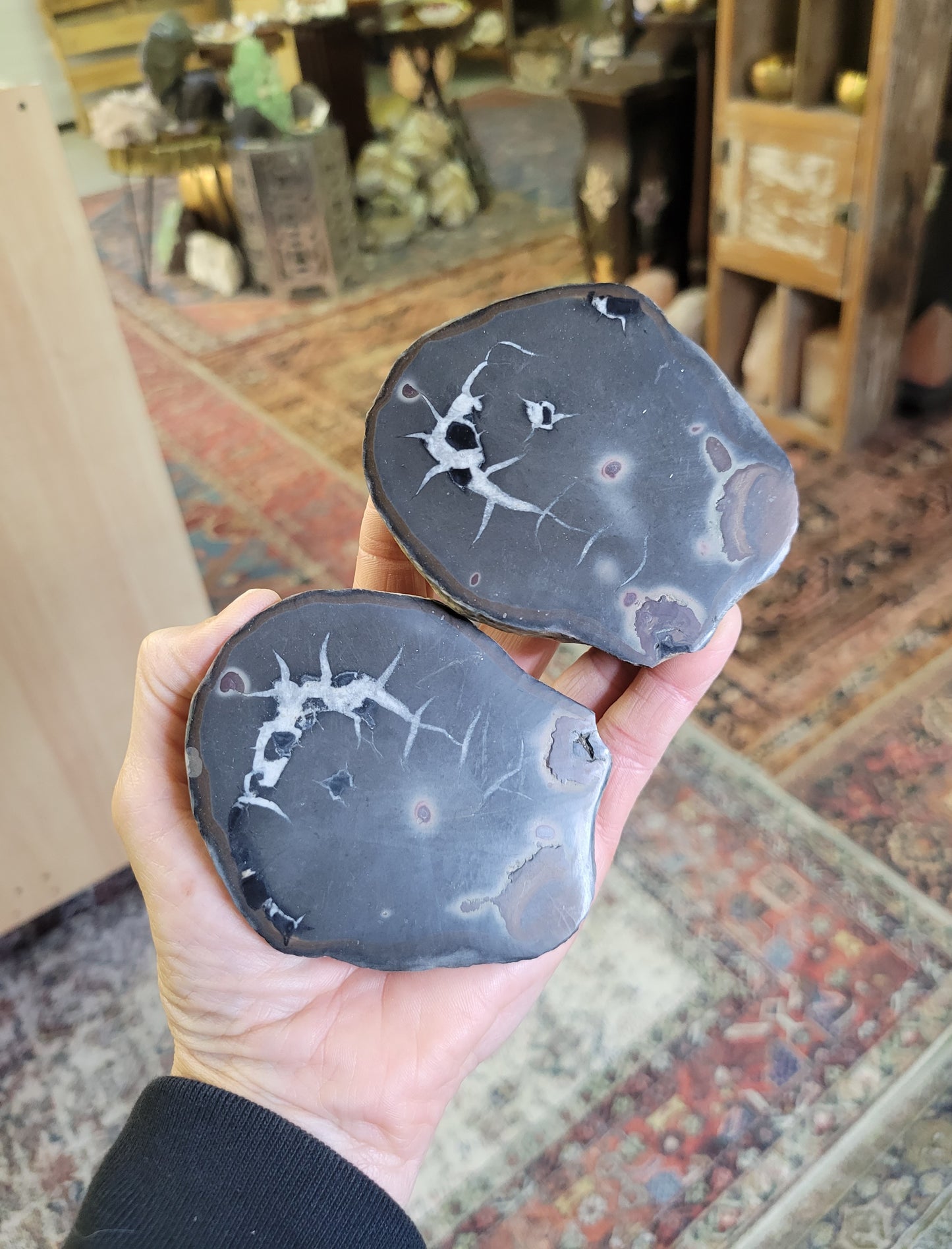 Septarian Polished Nodule from Morocco (2 7/8 X 3 1/2 X 1 1/4 inches)