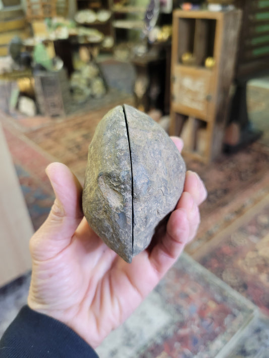 Septarian Nodule from Morocco