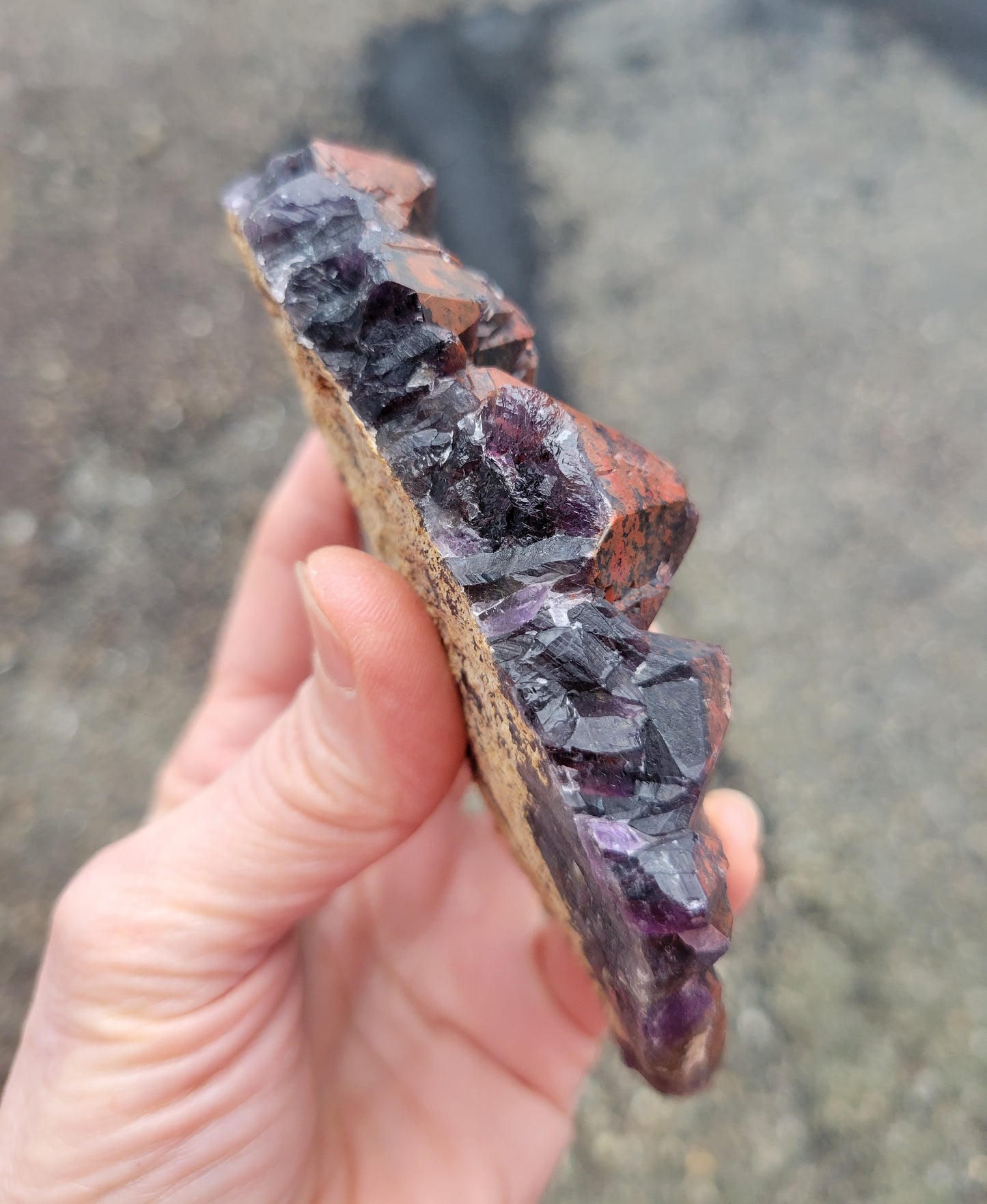 Red Capped Amethyst from India (W 3 3/8 X L 4 5/8 X H 1 1/8 inches)