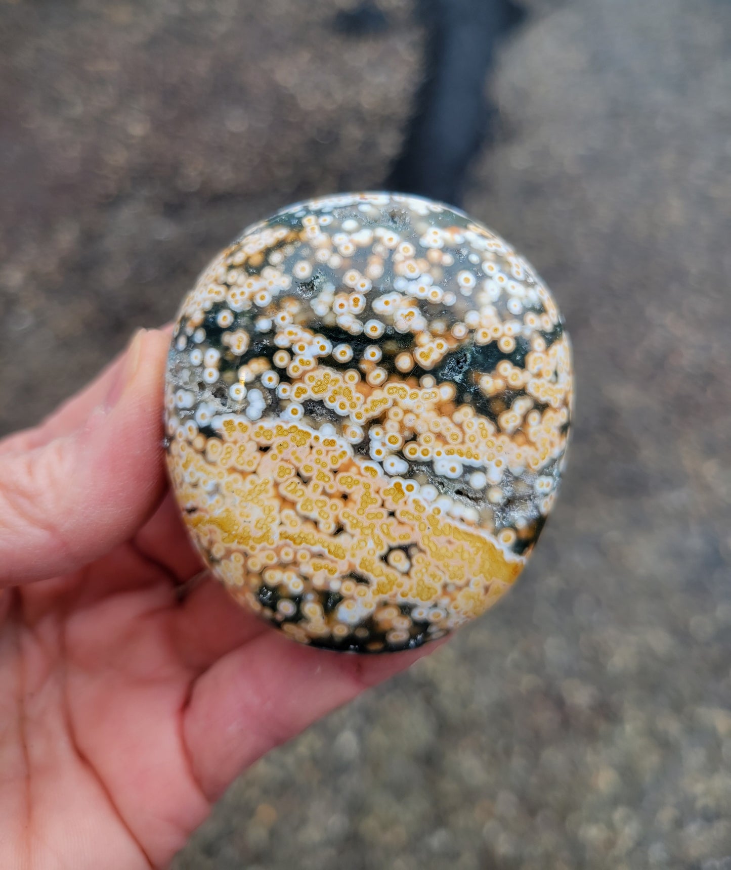 Ocean Jasper Palm Stone from Madagascar