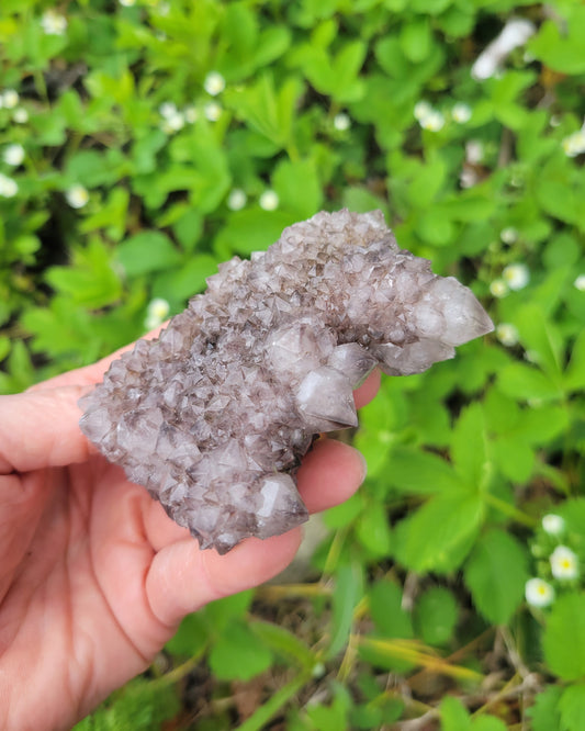 Spirit Cactus Quartz from Rep. South Africa