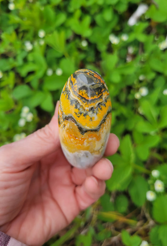 Bumblebee Jasper Shive Lingham from Indonesia